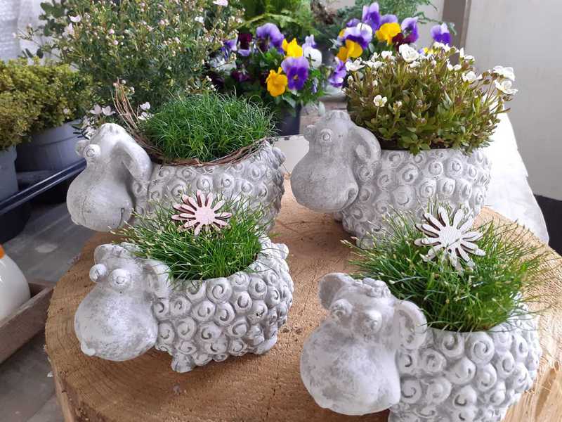 Blumenarrangement