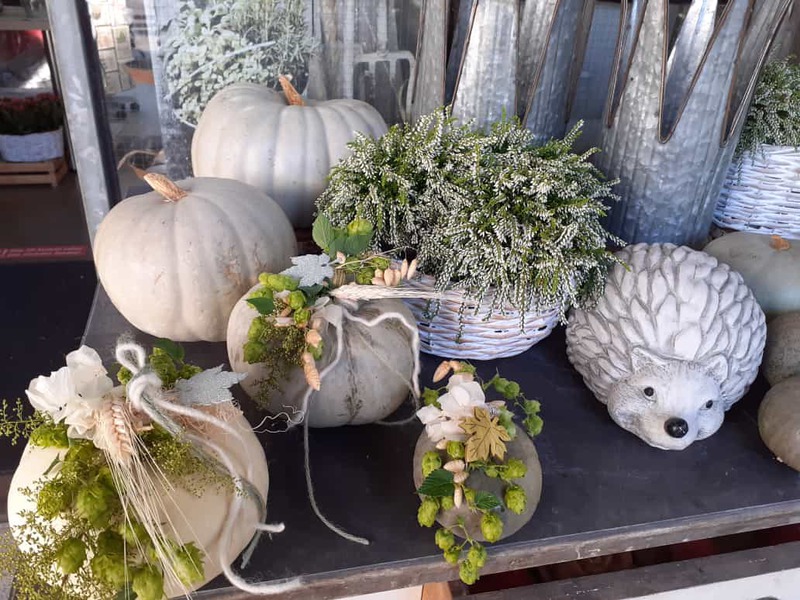 Stielecht Herbst